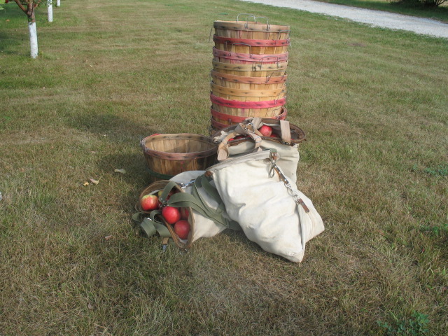 Bushel baskets and picking bags of apples on the grass